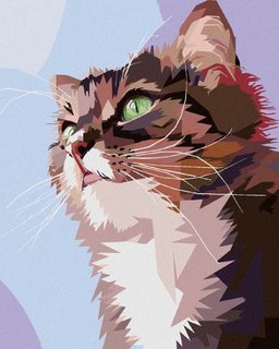 Festék a számok szerint Kíváncsi macska portré-1