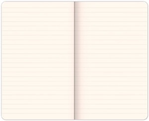 Jegyzetfüzet Mickey-3