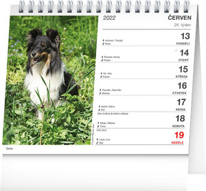 Stolní kalendář Psi – se jmény psů 2022-2