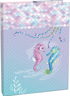 Desky na sešity A4 Coral-1