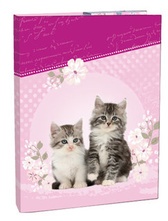 Füzetbox A4-es cica noteszekhez-1