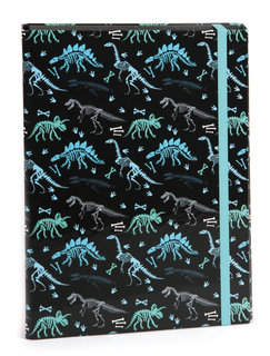 Füzettartó fedéllel A4 Prehistory-1