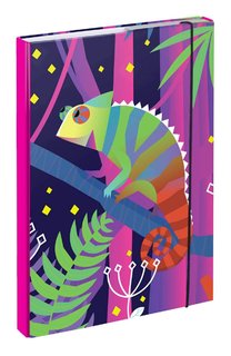 Mappák iskolai füzetekhez A4 Kaméleon-1