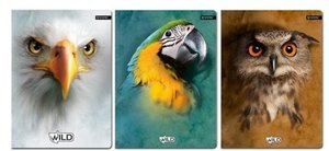 Füzet Wild 564 mix-1