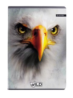 Füzet Wild orel, 564-1