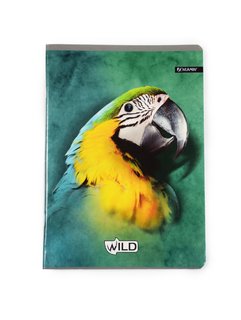 Füzet Wild- Papagáj, 564-1