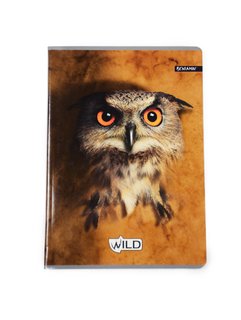 Füzet Wild- Bagoly, 564-1