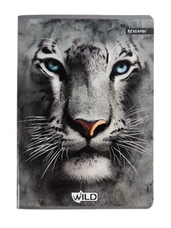 Sešit Wild tygr, 564-1